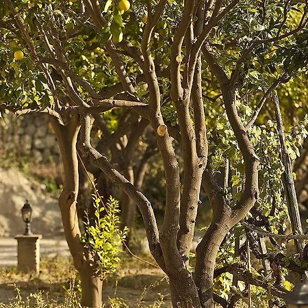 Otel Tenuta Del Poggio Antico Forio di Ischia