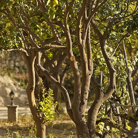 Hotel Tenuta Del Poggio Antico 4*