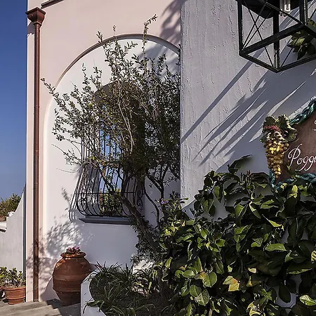 Tenuta Del Poggio Antico Forio di Ischia